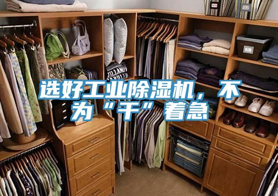 选好工业除湿机，不为“干”着急