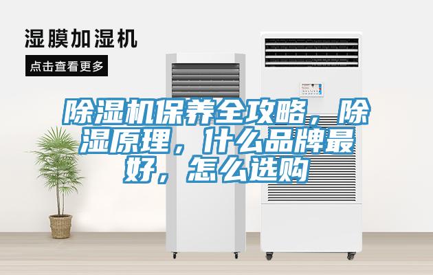除湿机保养全攻略，除湿原理，什么品牌最好，怎么选购
