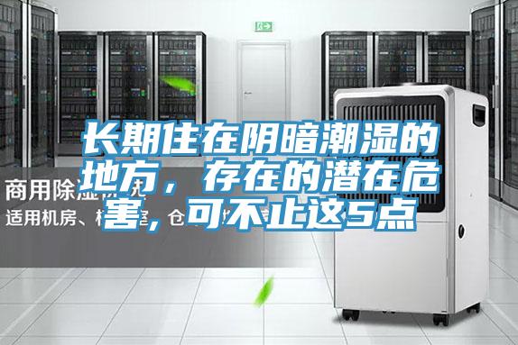 长期住在阴暗潮湿的地方，存在的潜在危害，可不止这5点