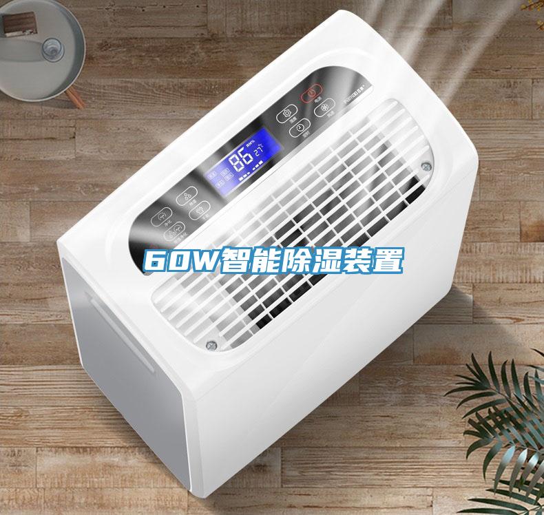 60W智能除湿装置