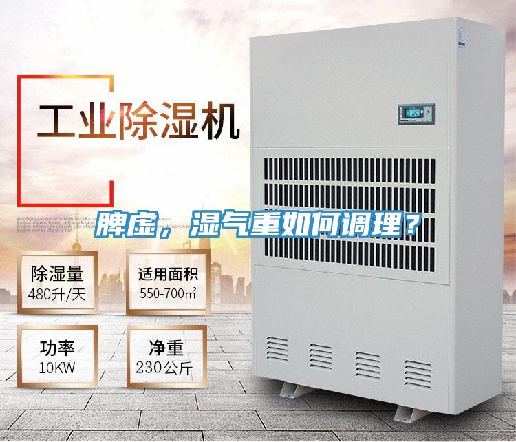 脾虚，湿气重如何调理？