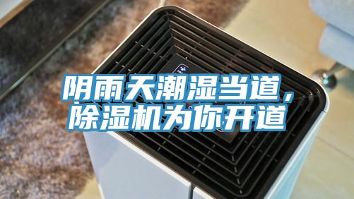 阴雨天潮湿当道，除湿机为你开道