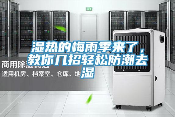 湿热的梅雨季来了，教你几招轻松防潮去湿