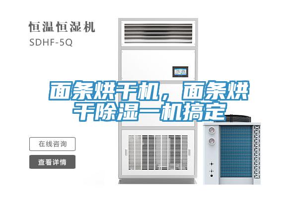 面条烘干机，面条烘干除湿一机搞定