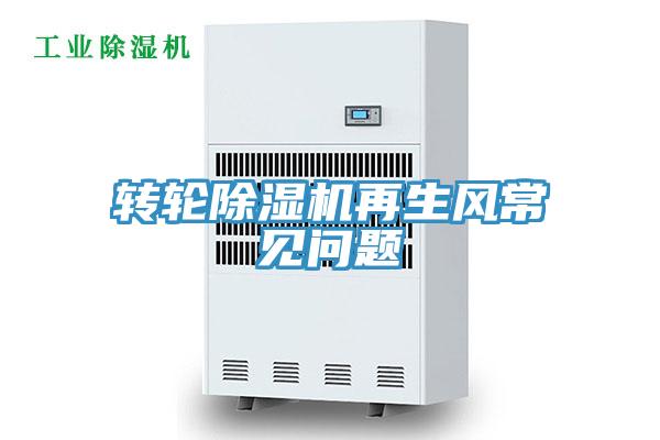 转轮除湿机再生风常见问题