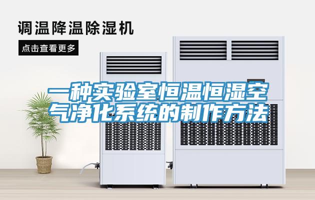 一种实验室恒温恒湿空气净化系统的制作方法
