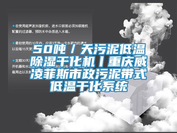 50吨／天污泥低温除湿干化机丨重庆威凌菲斯市政污泥带式低温干化系统