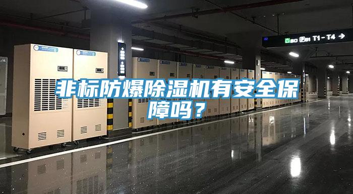 非标防爆除湿机有安全保障吗？