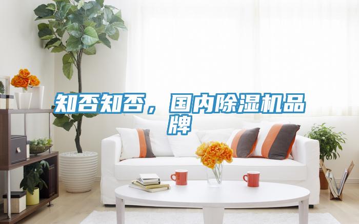 知否知否，国内除湿机品牌