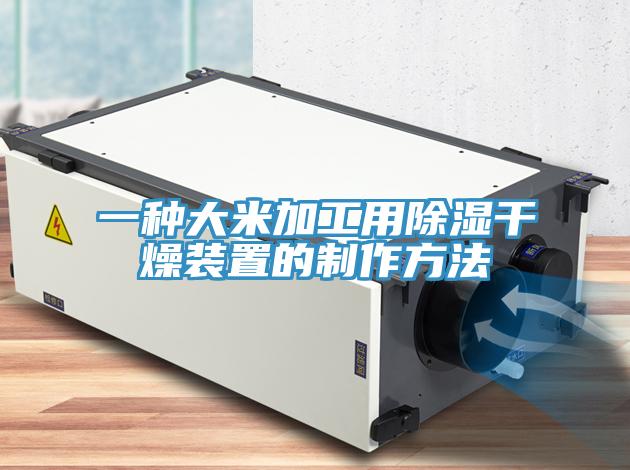 一种大米加工用除湿干燥装置的制作方法