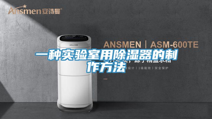 一种实验室用除湿器的制作方法