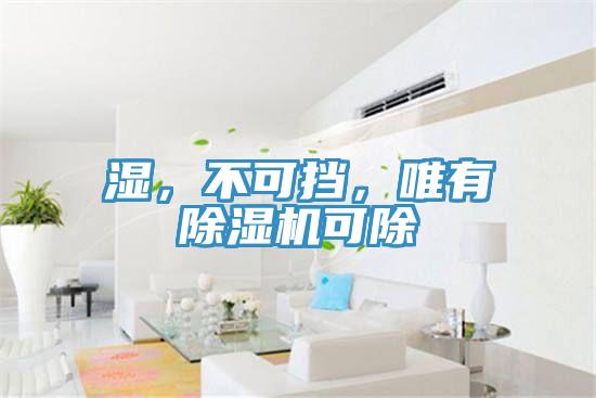 湿，不可挡，唯有除湿机可除