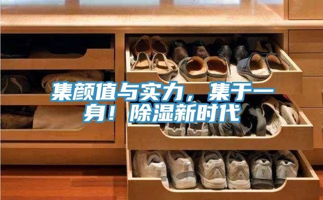 集颜值与实力，集于一身！除湿新时代
