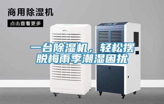 一台除湿机，轻松摆脱梅雨季潮湿困扰