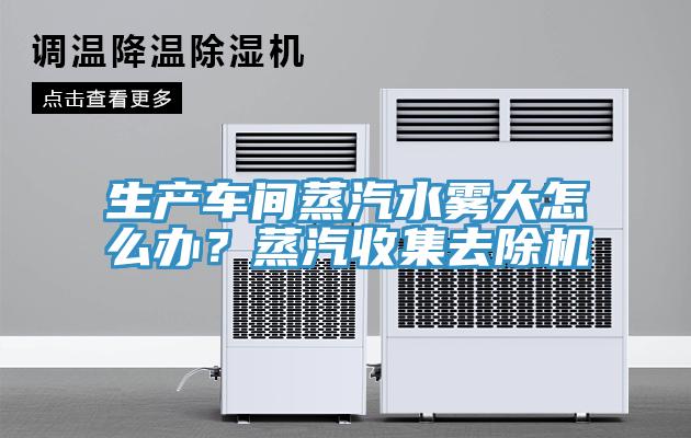 生产车间蒸汽水雾大怎么办？蒸汽收集去除机