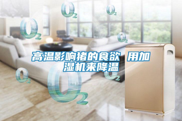 高温影响猪的食欲 用加湿机来降温