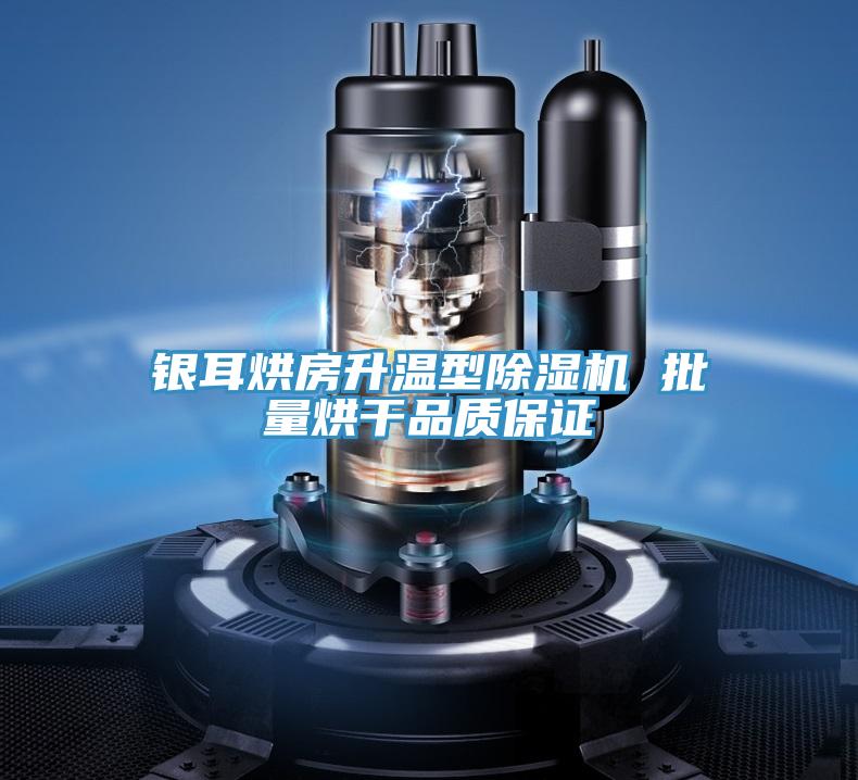 银耳烘房升温型除湿机 批量烘干品质保证