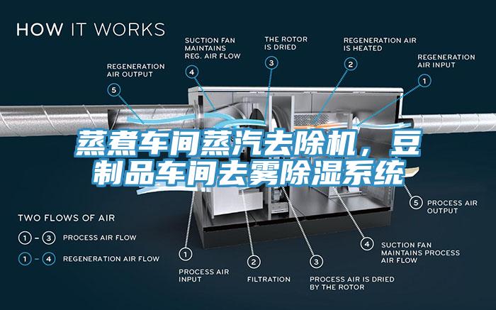 蒸煮车间蒸汽去除机，豆制品车间去雾除湿系统