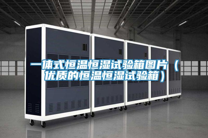 一体式恒温恒湿试验箱图片（优质的恒温恒湿试验箱）