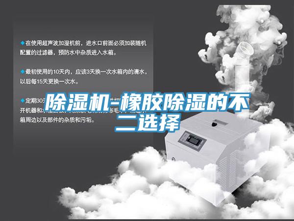 除湿机-橡胶除湿的不二选择