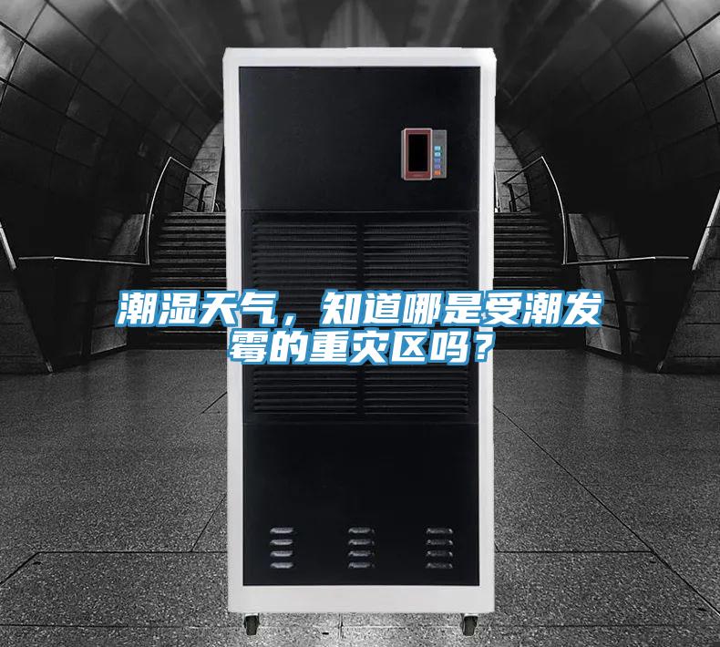 潮湿天气，知道哪是受潮发霉的重灾区吗？