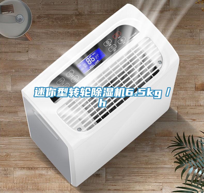 迷你型转轮除湿机6.5kg／h