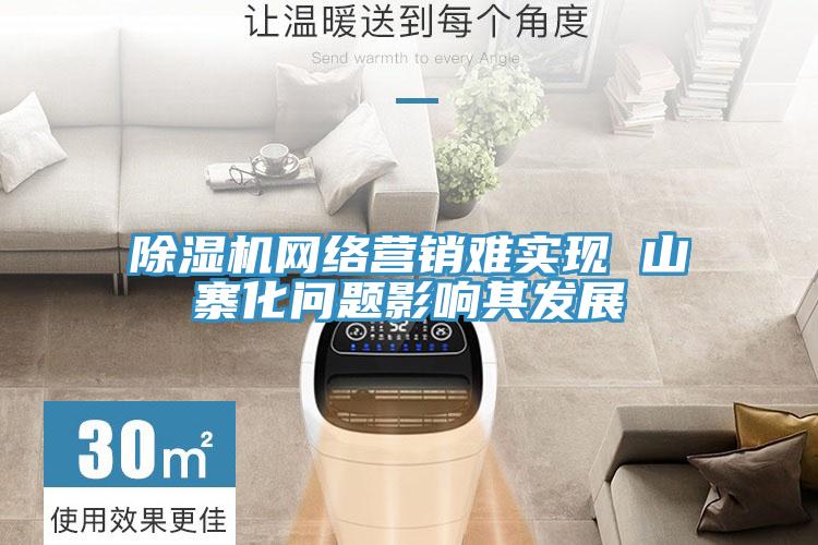 除湿机网络营销难实现 山寨化问题影响其发展