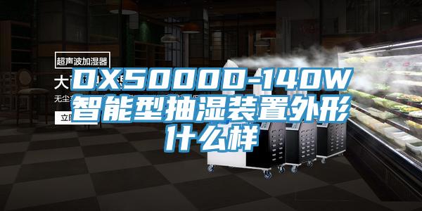 DX5000D-140W智能型抽湿装置外形什么样