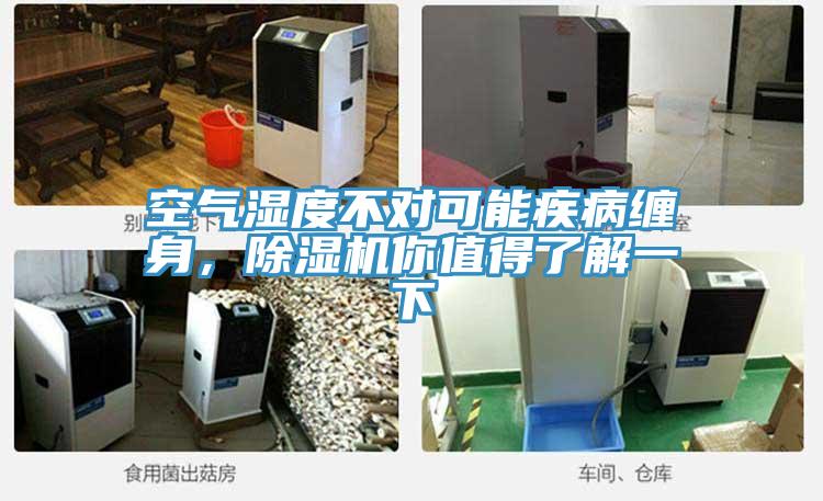 空气湿度不对可能疾病缠身，除湿机你值得了解一下
