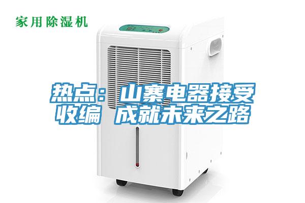 热点：山寨电器接受收编 成就未来之路