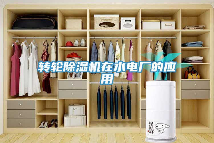 转轮除湿机在水电厂的应用