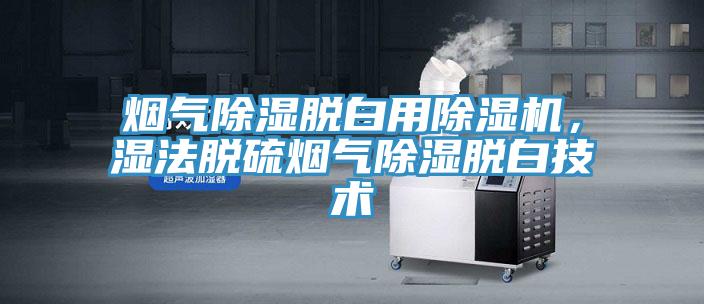 烟气除湿脱白用除湿机，湿法脱硫烟气除湿脱白技术