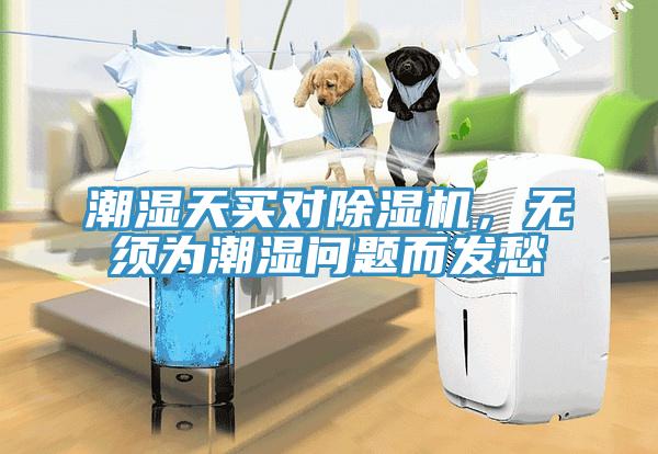 潮湿天买对除湿机，无须为潮湿问题而发愁