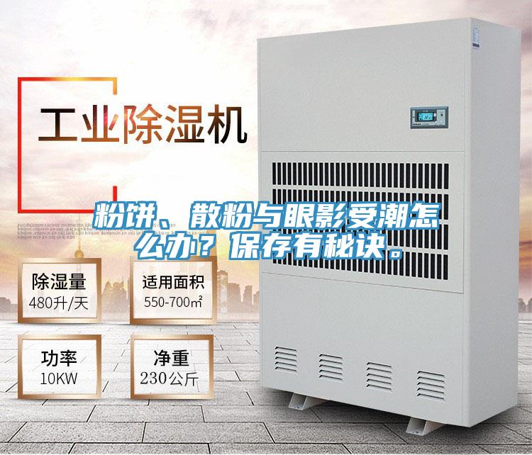 粉饼、散粉与眼影受潮怎么办？保存有秘诀。