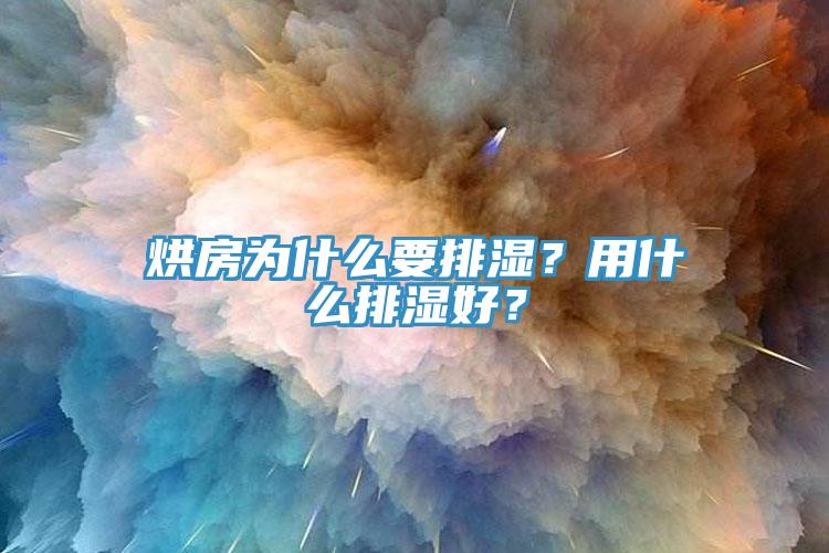 烘房为什么要排湿？用什么排湿好？