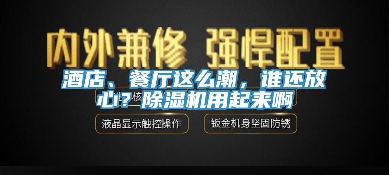 酒店、餐厅这么潮，谁还放心？除湿机用起来啊