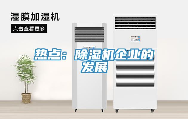 热点：除湿机企业的发展