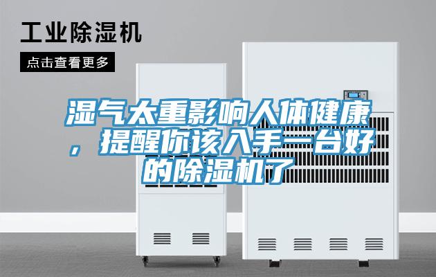 湿气太重影响人体健康，提醒你该入手一台好的除湿机了