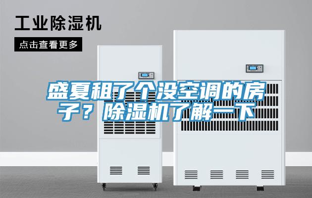 盛夏租了个没空调的房子？除湿机了解一下