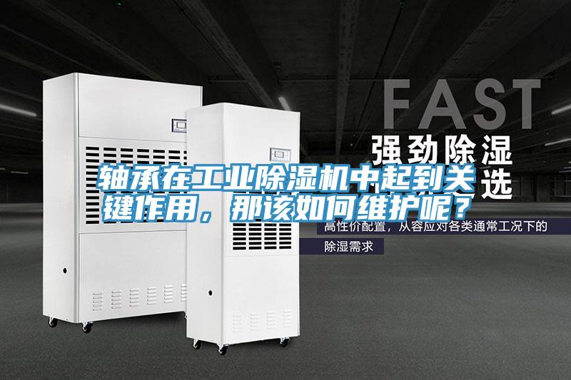 轴承在工业除湿机中起到关键作用，那该如何维护呢？