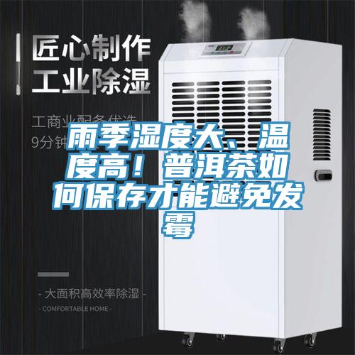雨季湿度大、温度高！普洱茶如何保存才能避免发霉