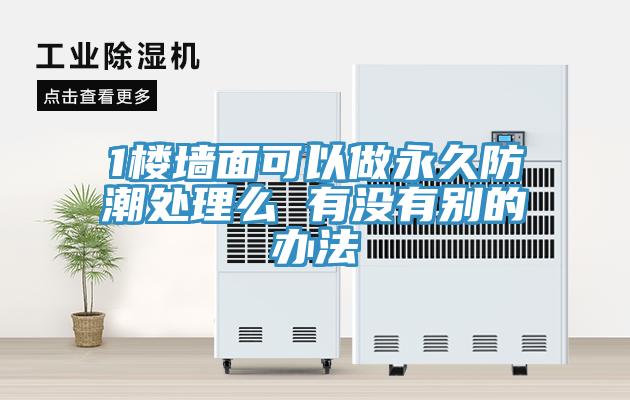 1楼墙面可以做永久防潮处理么 有没有别的办法