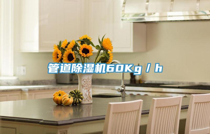 管道除湿机60Kg／h