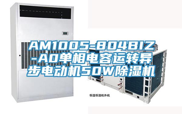 AM1005-804BIZ-A0单相电容运转异步电动机50W除湿机