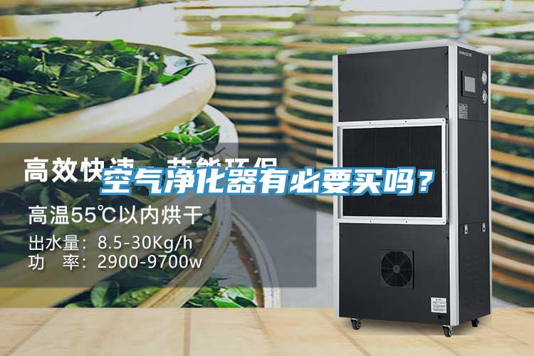 空气净化器有必要买吗？