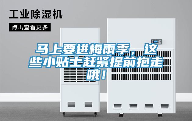 马上要进梅雨季，这些小贴士赶紧提前抱走哦！