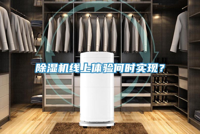 除湿机线上体验何时实现？