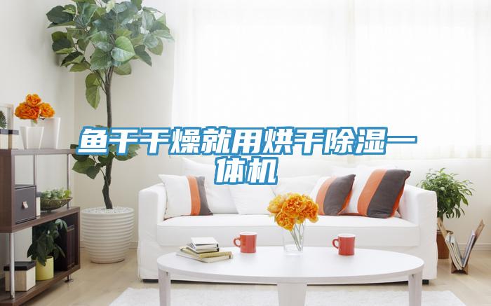 鱼干干燥就用烘干除湿一体机