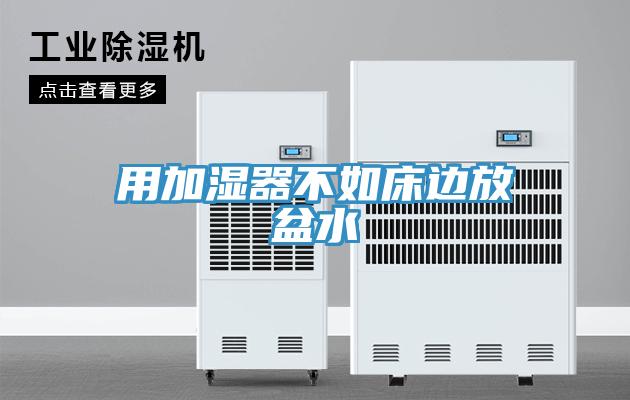 用加湿器不如床边放盆水