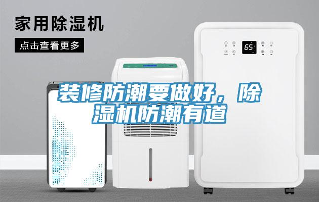 装修防潮要做好，除湿机防潮有道